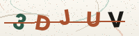 Security code — type the characters you see